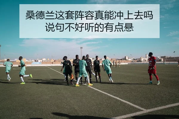桑德兰这套阵容真能冲上去吗 说句不好听的有点悬