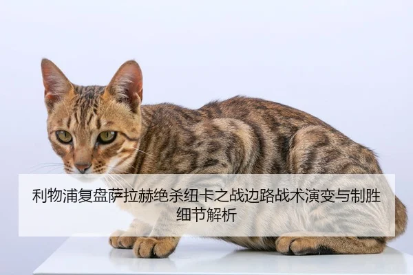 利物浦复盘萨拉赫绝杀纽卡之战边路战术演变与制胜细节解析