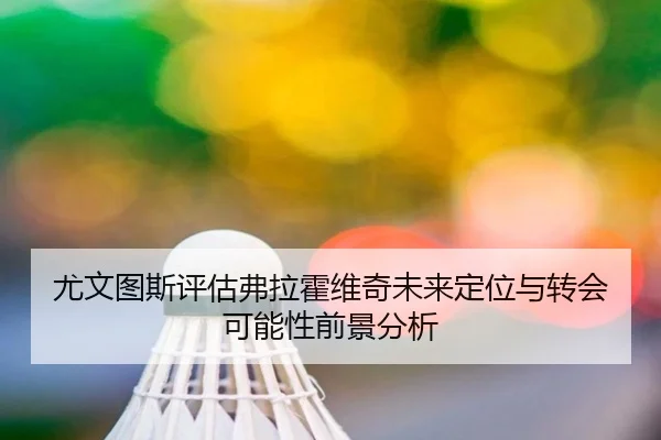 尤文图斯评估弗拉霍维奇未来定位与转会可能性前景分析